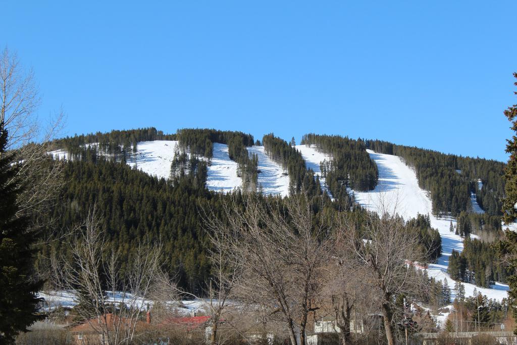 The Cosmopolitan Hotel Blairmore Exterior foto